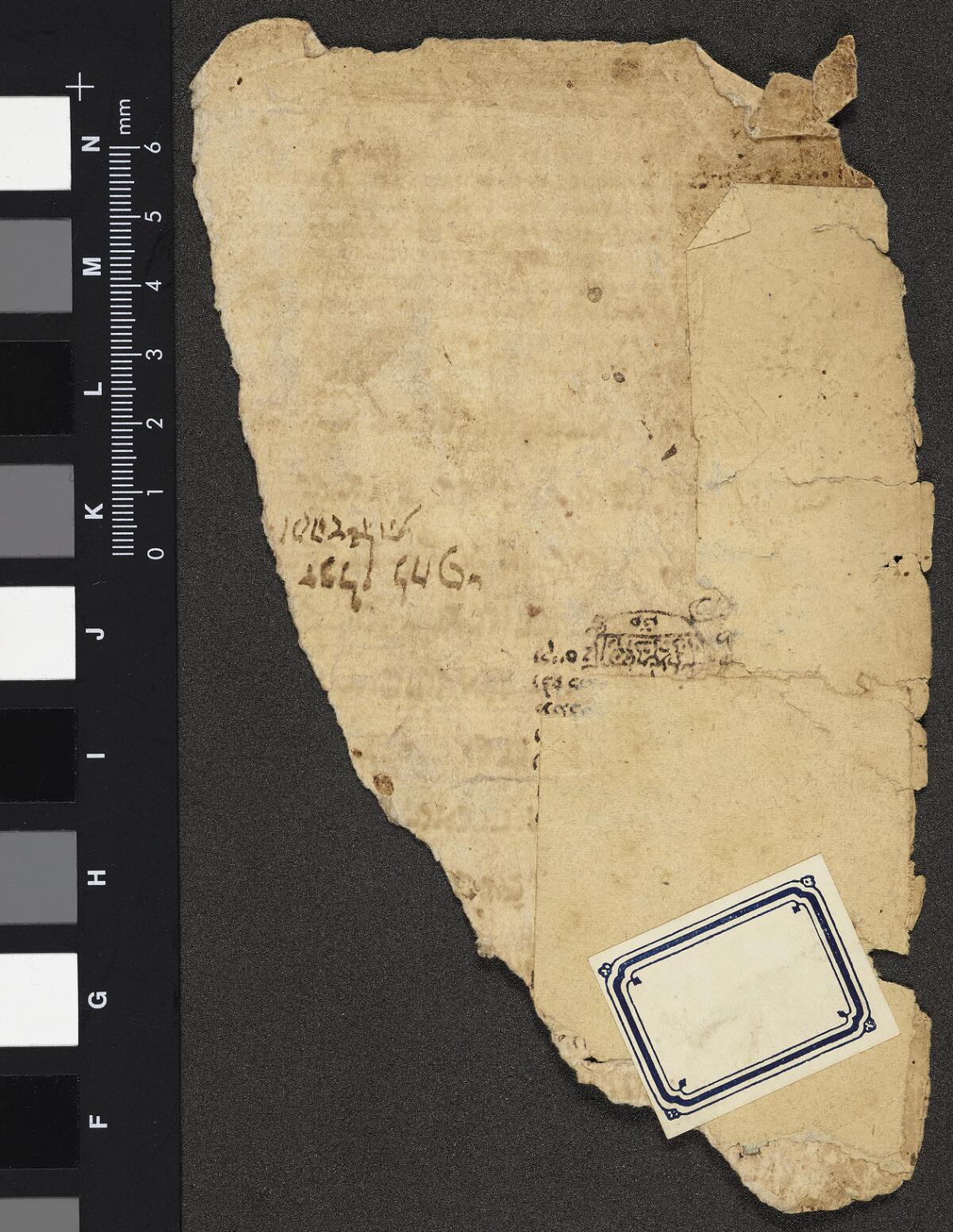 Folio 1a, Gaster Hebrew MS 2031 (Leviticus Fragment)