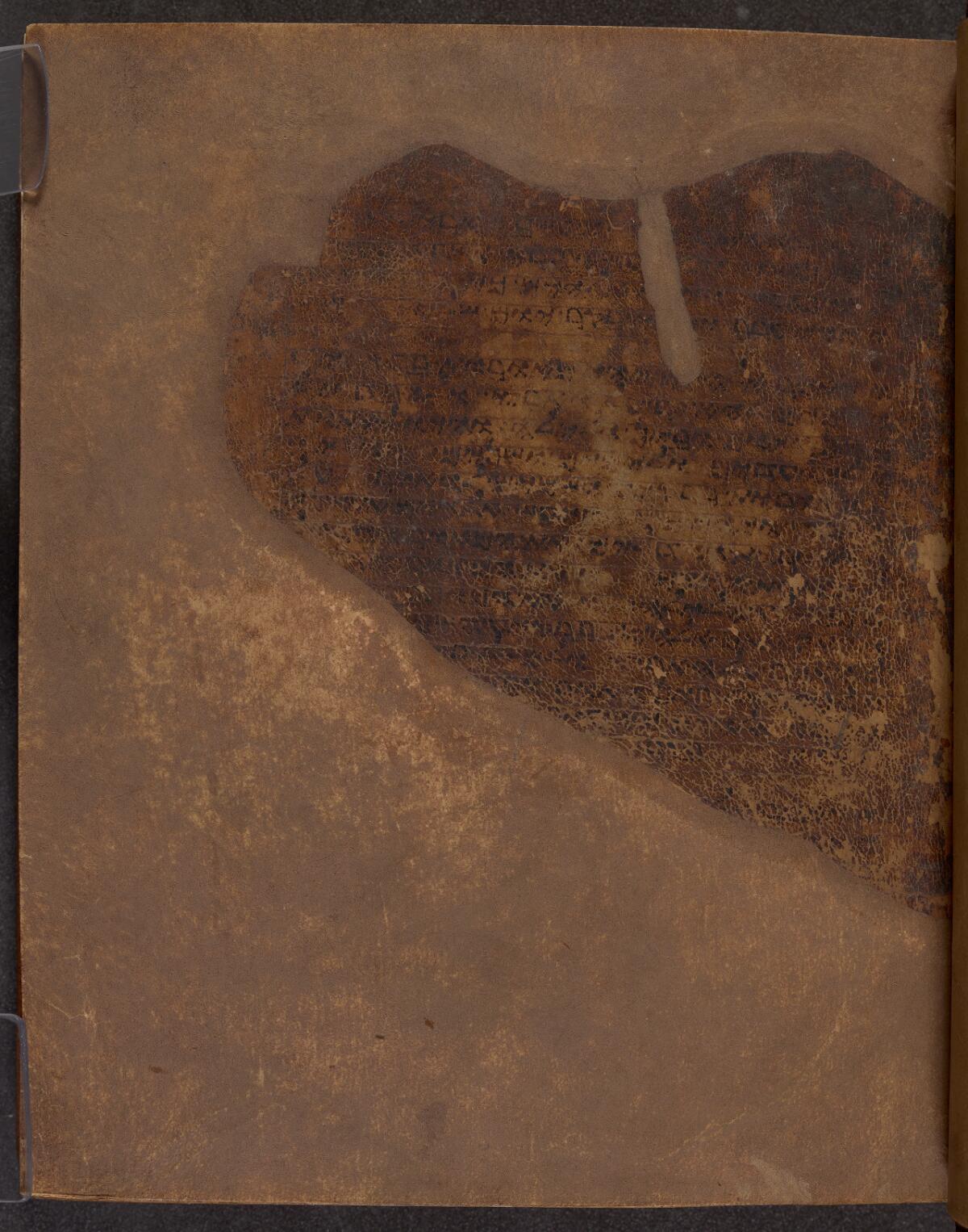 Genesis 1:1 in the Rylands Samaritan Pentateuch (MS 1), folio p001