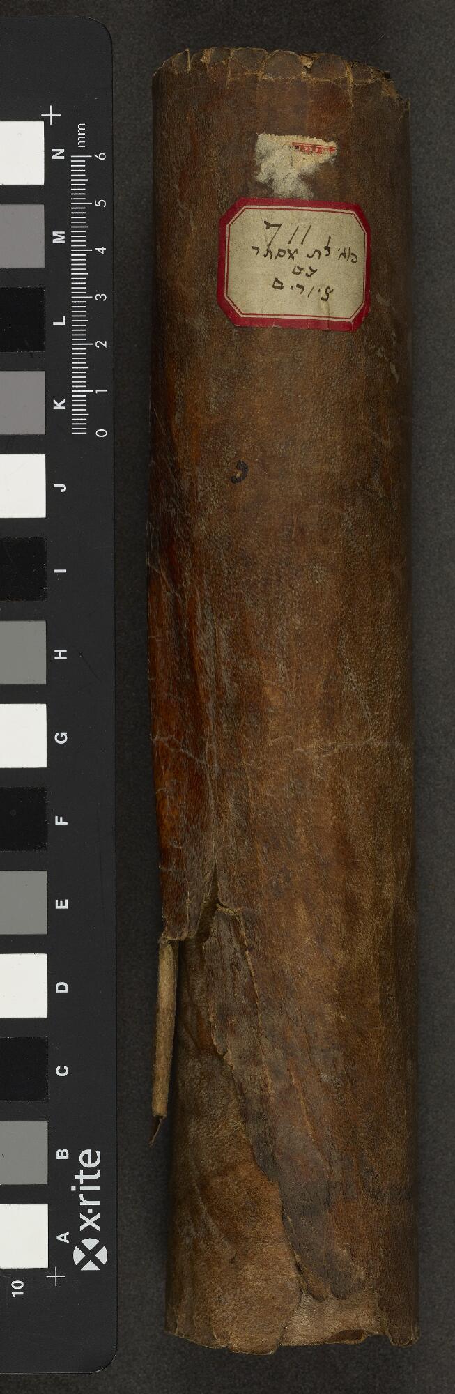 Rolled scroll and handwritten shelfmark label, Gaster Hebrew MS 711 (Illustrated Esther Scroll)