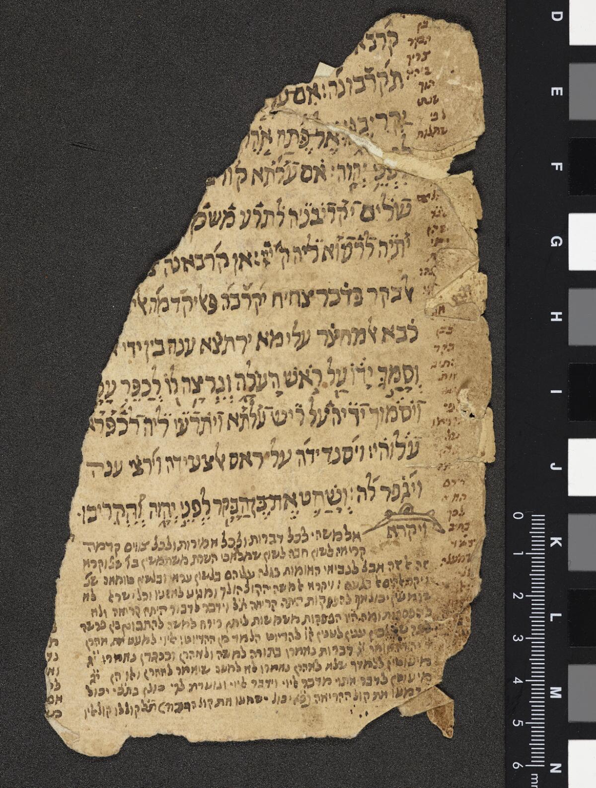 Folio 1b, Gaster Hebrew MS 2031 (Leviticus Fragment)