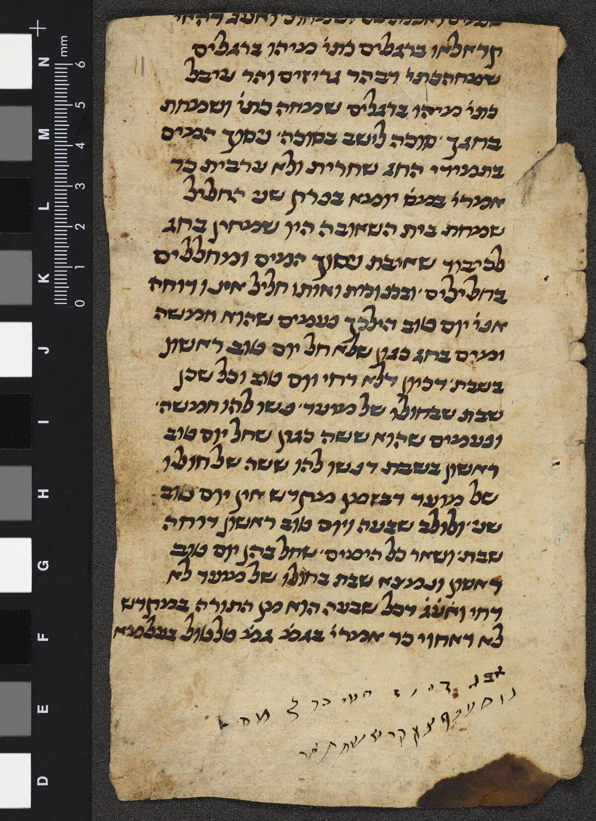 Folio 2a, Gaster Hebrew MS 2031 (Leviticus Fragment)