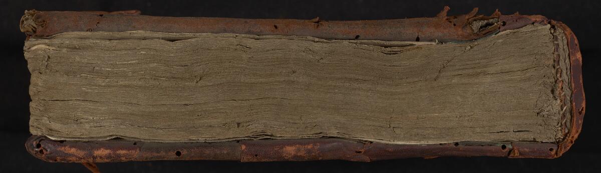 Head, Gaster Hebrew MS 322 (Trilingual Genesis and Exodus)