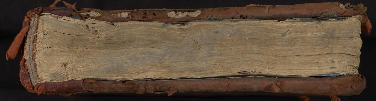 Tail, Gaster Hebrew MS 322 (Trilingual Genesis and Exodus)