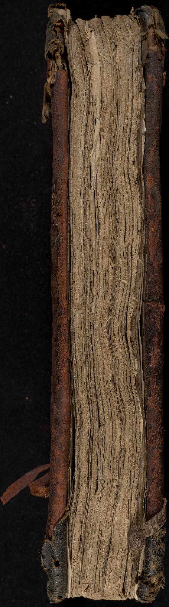 Head, Gaster Hebrew MS 323 (Trilingual Leviticus–Deuteronomy)