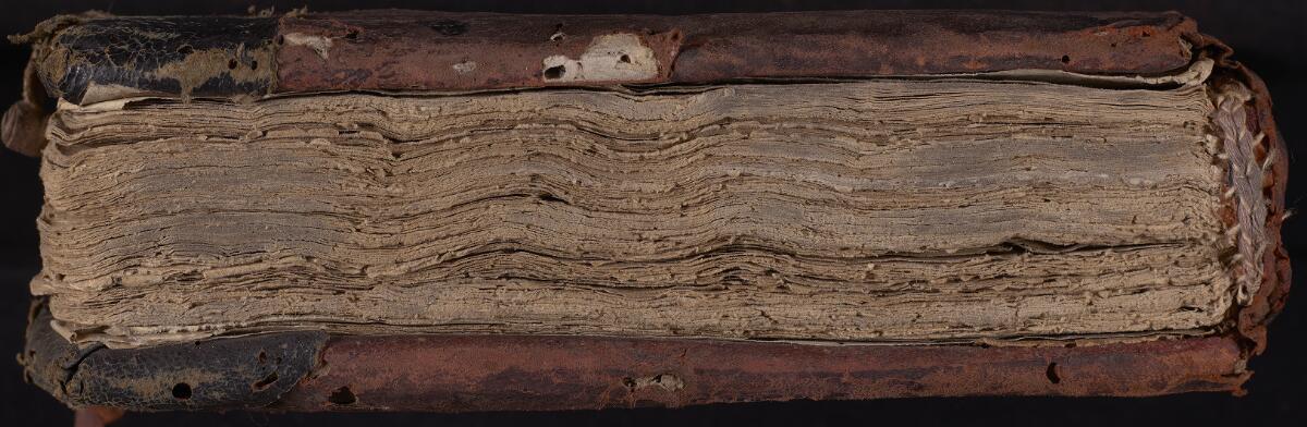 Tail, Gaster Hebrew MS 323 (Trilingual Leviticus–Deuteronomy)