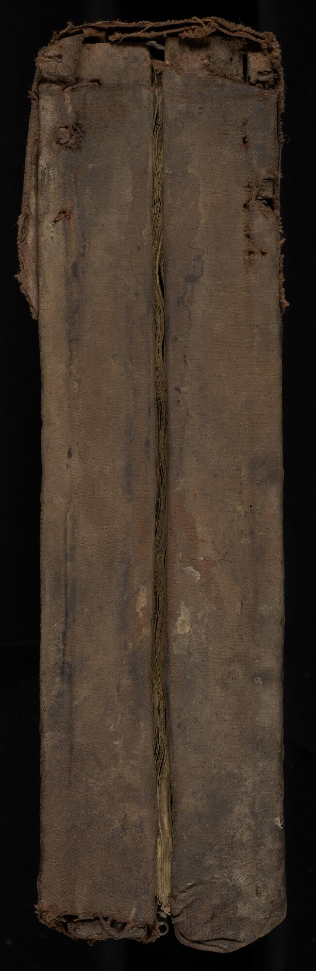 Head, Gaster Hebrew MS 2033 (Trilingual Pentateuch and Haftarot)