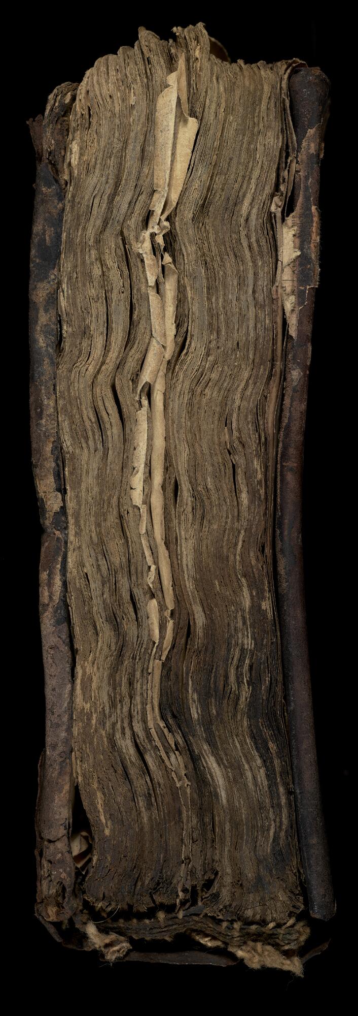 Tail, Gaster Hebrew MS 673 (Latter Prophets)