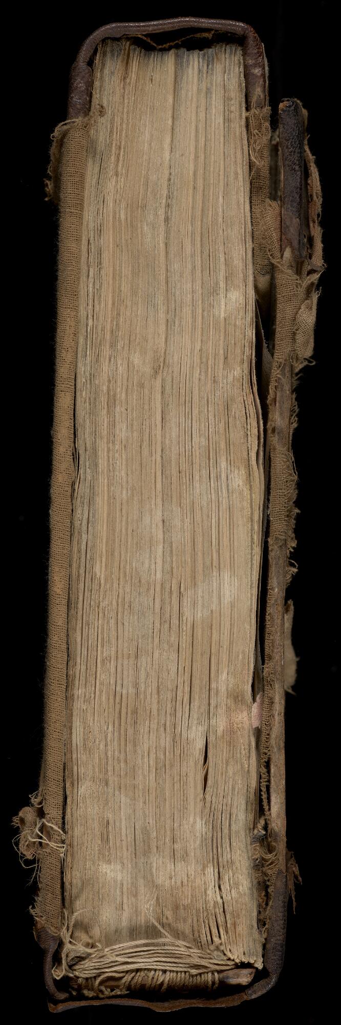 Spine head endband, Gaster Samaritan Pentateuch (MS Add 1)