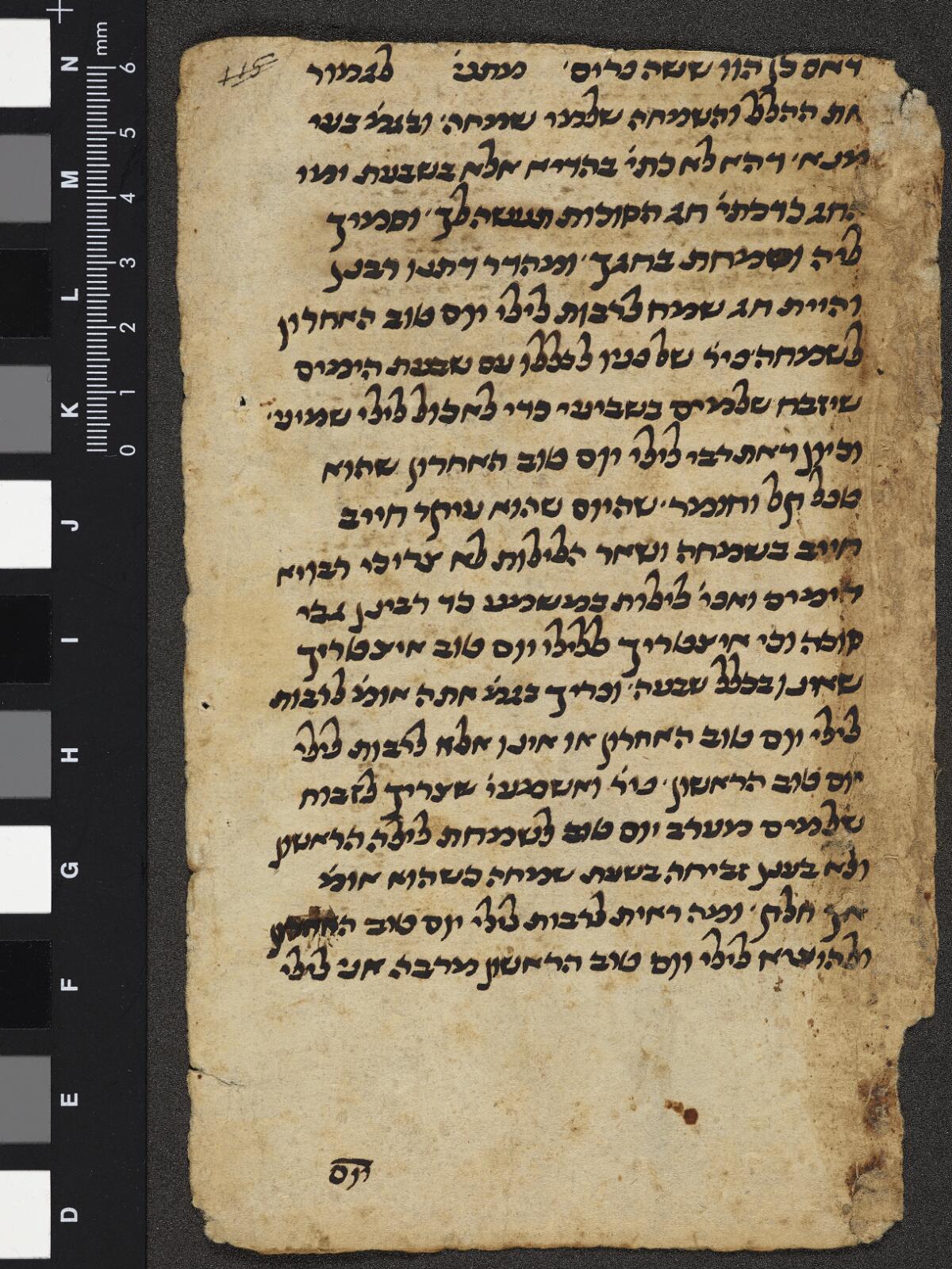 Folio 3b, Gaster Hebrew MS 2031 (Leviticus Fragment)