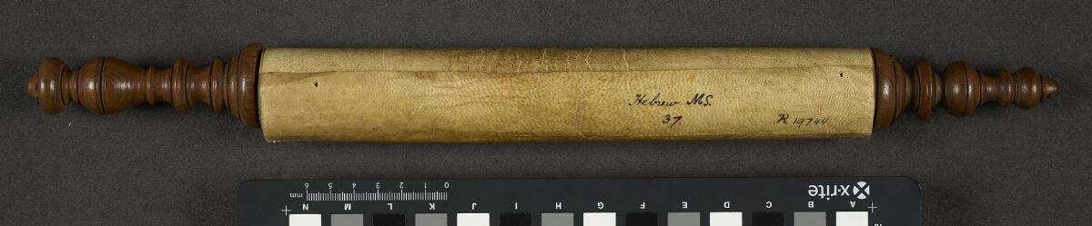 Rolled scroll — Hebrew MS 37 and R19744, Manchester Hebrew MS 37 (Griselini Esther Scroll)