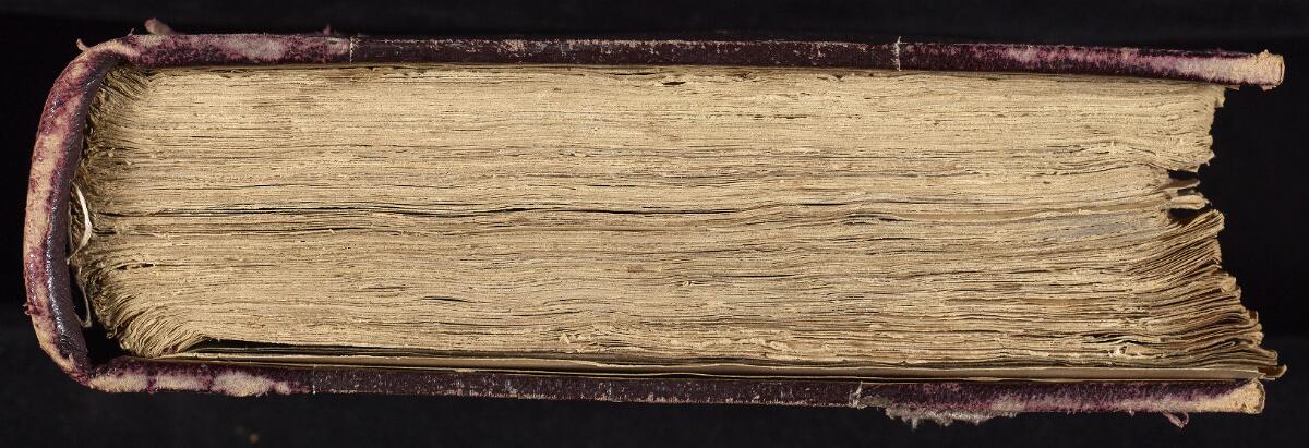 Tail, Gaster Hebrew MS 86 (Writings)