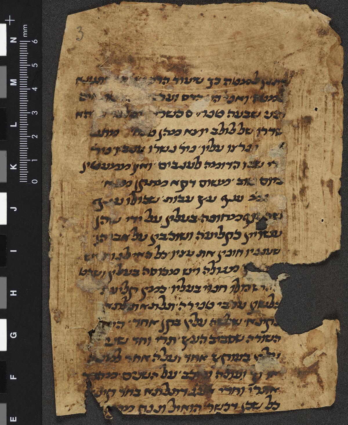 Folio 4a, Gaster Hebrew MS 2031 (Leviticus Fragment)
