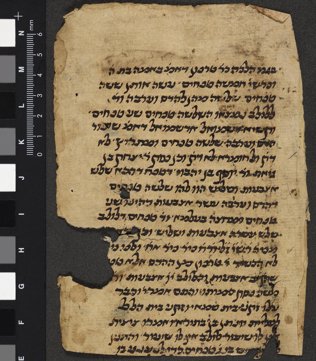Folio 4b, Gaster Hebrew MS 2031 (Leviticus Fragment)