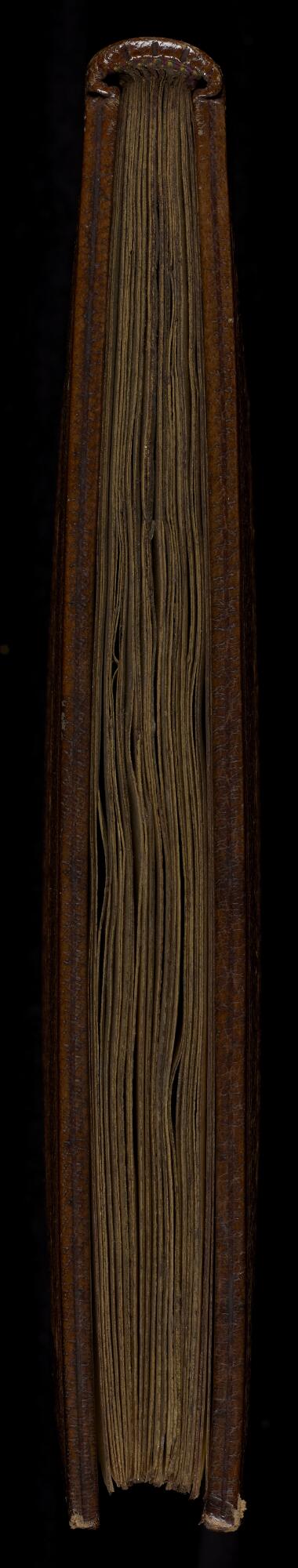 Head, Manchester Samaritan MS 6 (Genesis)