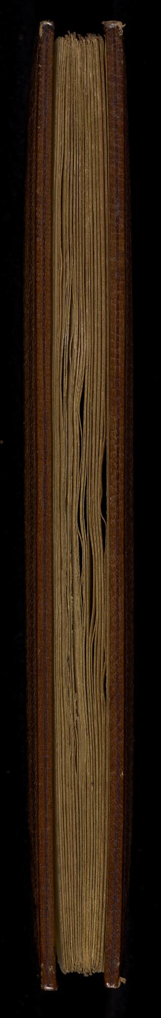 Fore edge, Manchester Samaritan MS 6 (Genesis)