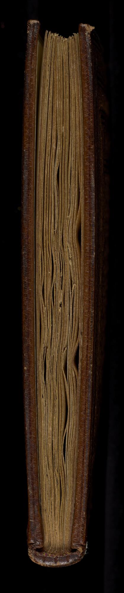 Tail, Manchester Samaritan MS 6 (Genesis)